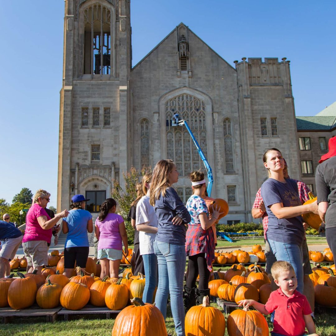 Pumkins Unloading 2016-2464